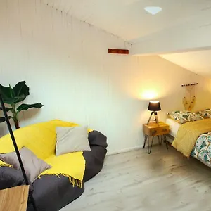 https://appart-chaleureux-35m2-centre-ville-toulousain.midi-pyreneeshotels.com